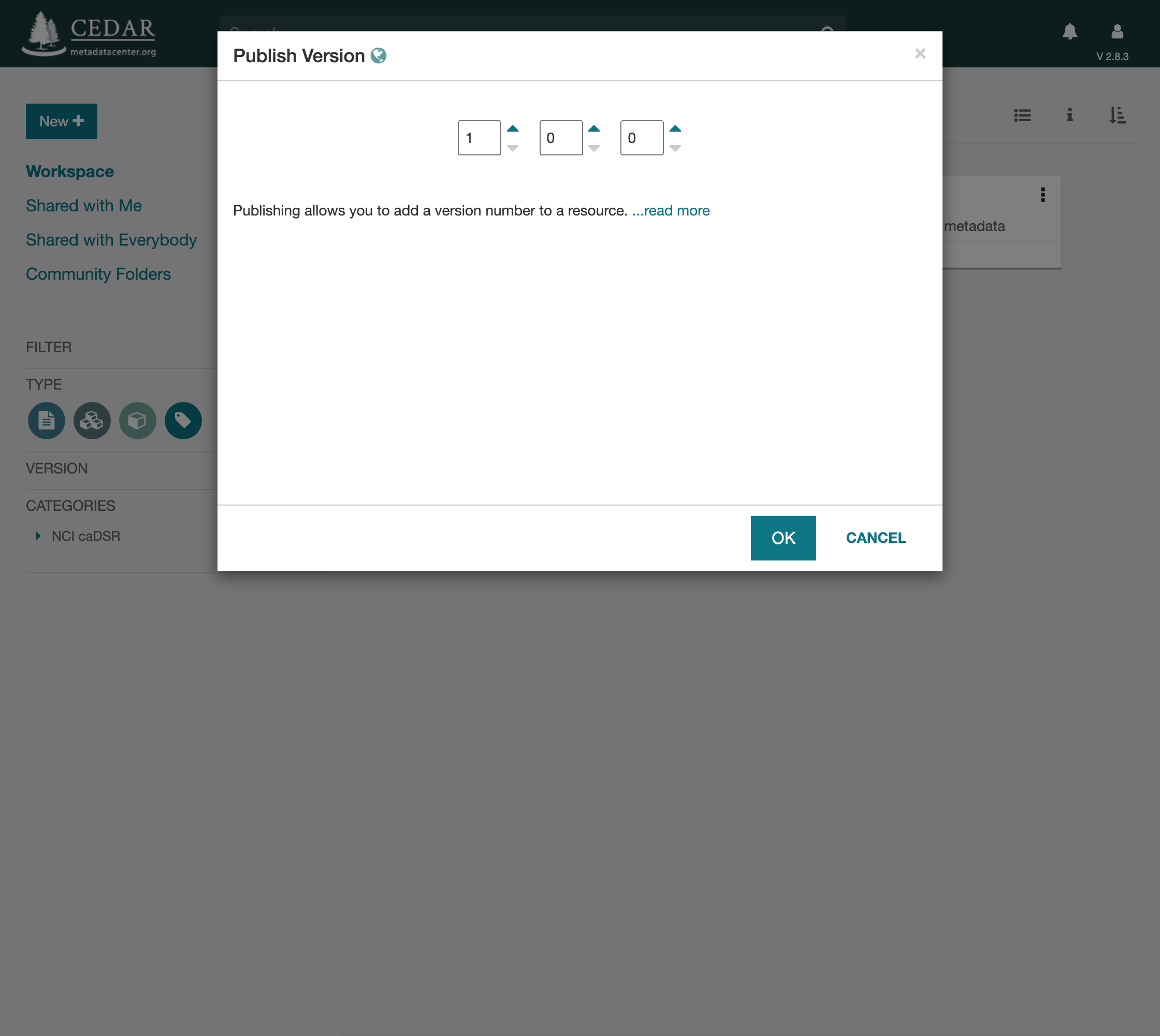 The Publish Version dialog set to 1.0.0