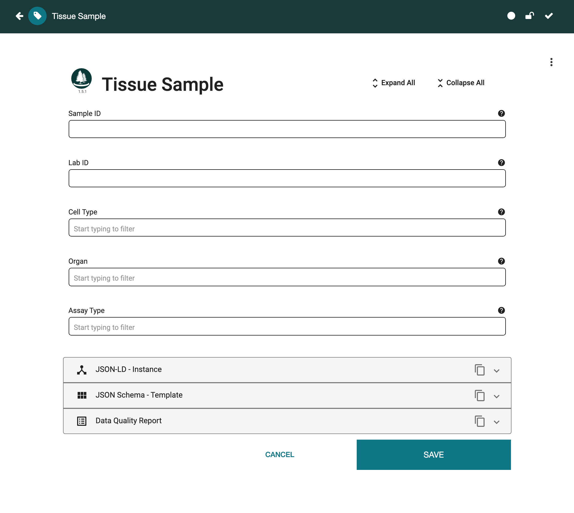 The blank instance form